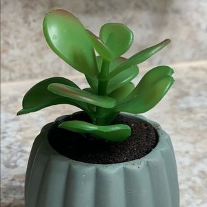 Potted Faux Succulent